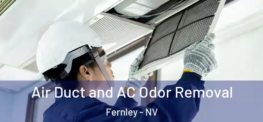 Air Duct and AC Odor Removal Fernley - NV