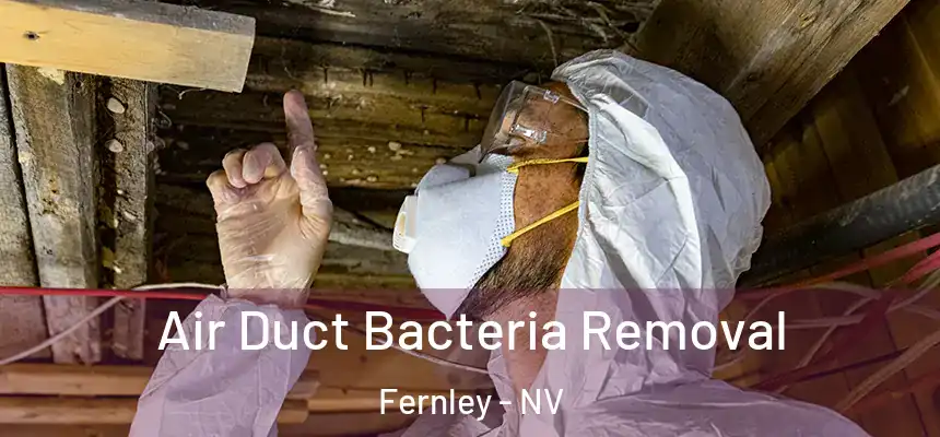  Air Duct Bacteria Removal Fernley - NV