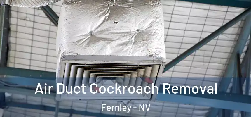 Air Duct Cockroach Removal Fernley - NV