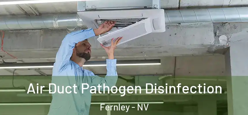  Air Duct Pathogen Disinfection Fernley - NV