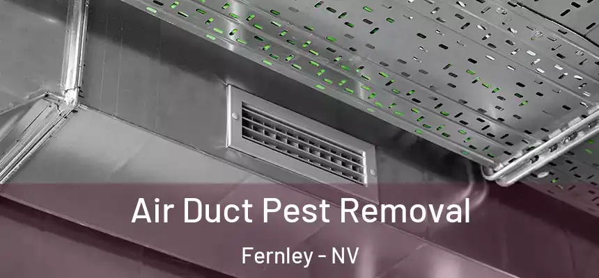 Air Duct Pest Removal Fernley - NV
