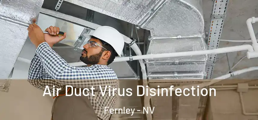 Air Duct Virus Disinfection Fernley - NV