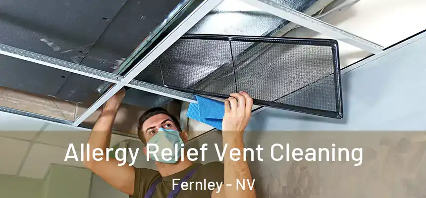 Allergy Relief Vent Cleaning Fernley - NV