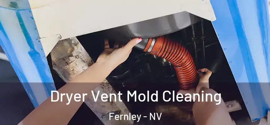 Dryer Vent Mold Cleaning Fernley - NV
