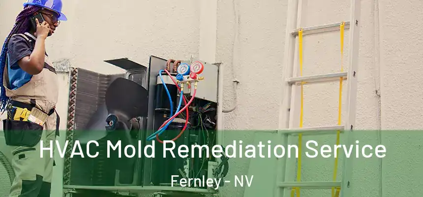 HVAC Mold Remediation Service Fernley - NV