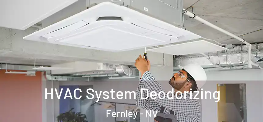 HVAC System Deodorizing Fernley - NV
