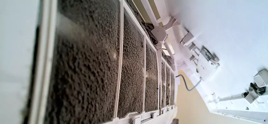 Preventive Air Duct Bacteria Removal in Fernley