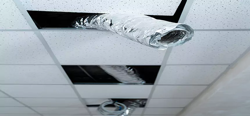 Our Air Duct Pet Hair Removal Services in Fernley, NV