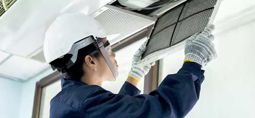 Our Mold & Mildew Removal from Air Ducts Services in Fernley, NV