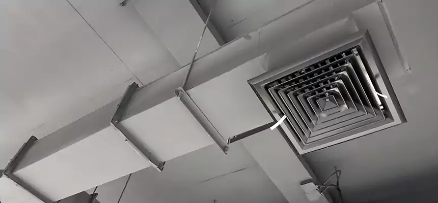 Our Rodent Droppings In Vents Services in Fernley, NV