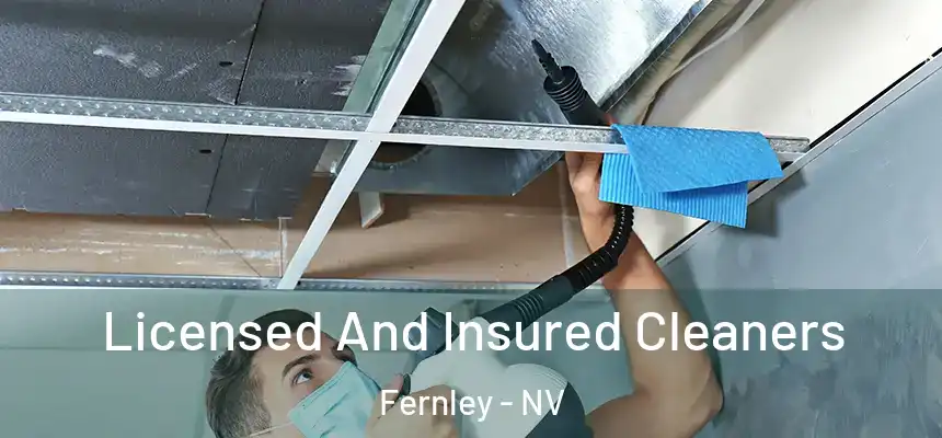 Licensed And Insured Cleaners Fernley - NV