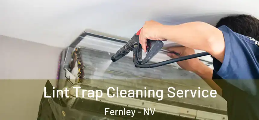 Lint Trap Cleaning Service Fernley - NV