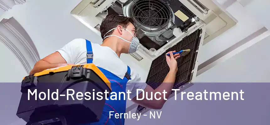 Mold-Resistant Duct Treatment Fernley - NV
