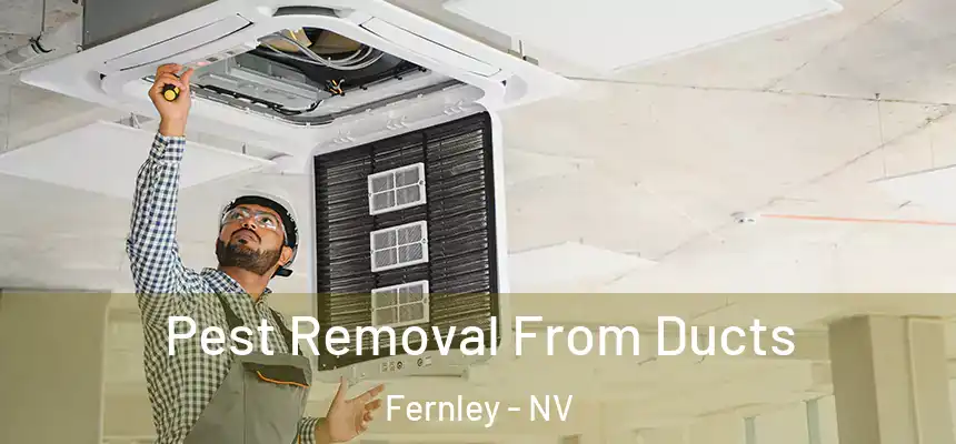 Pest Removal From Ducts Fernley - NV