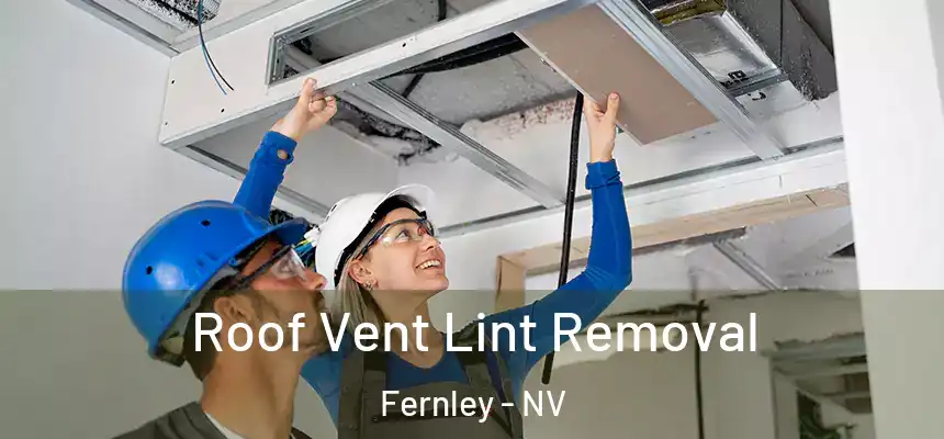 Roof Vent Lint Removal Fernley - NV