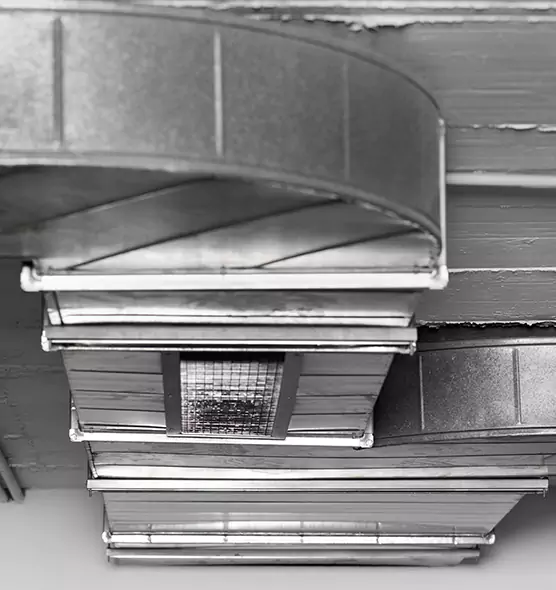 Professional Air Duct Pet Hair Removal in Fernley, NV