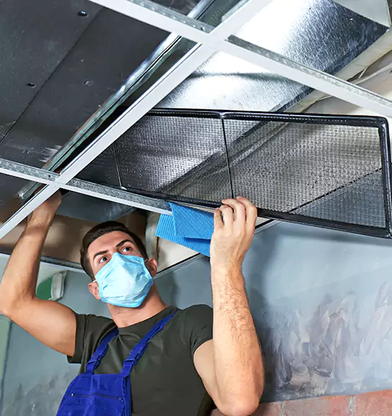 Professional Air Duct Pollen Cleaning in Fernley, NV