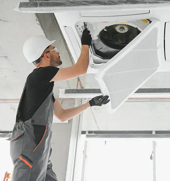 About Air Duct Rodent Removal in Fernley, NV