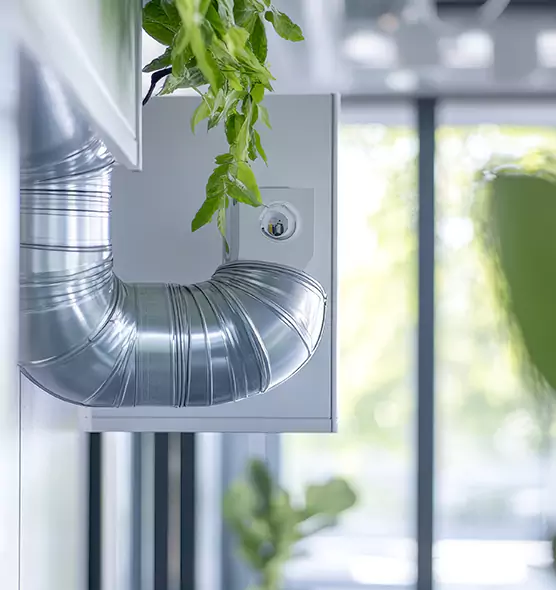 Professional Eco-Friendly Duct Cleaning Services in Fernley, NV