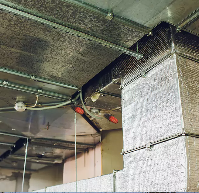 Why Homeowners & Businesses Trust Us in Fernley, NV?