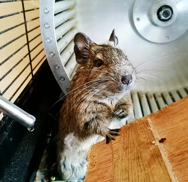 Why Homeowners & Businesses Trust Us Fernley, NV