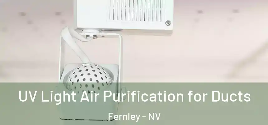 UV Light Air Purification for Ducts Fernley - NV